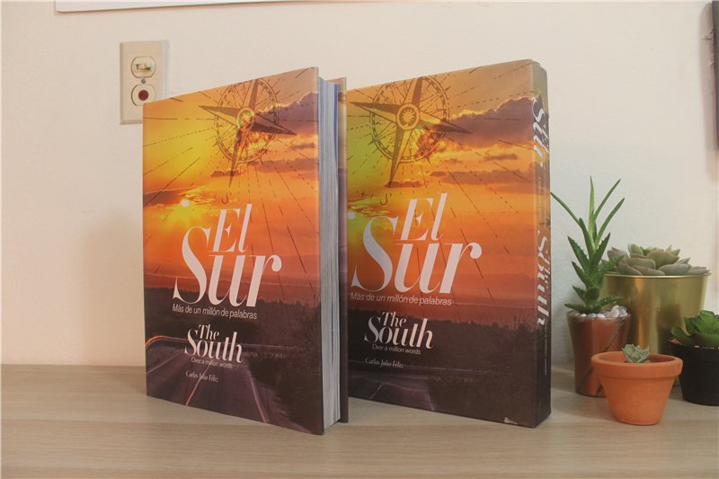 El Sur - Carlos Julio Feliz